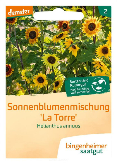 Produktfoto zu Sonnenblume (Saatgut)