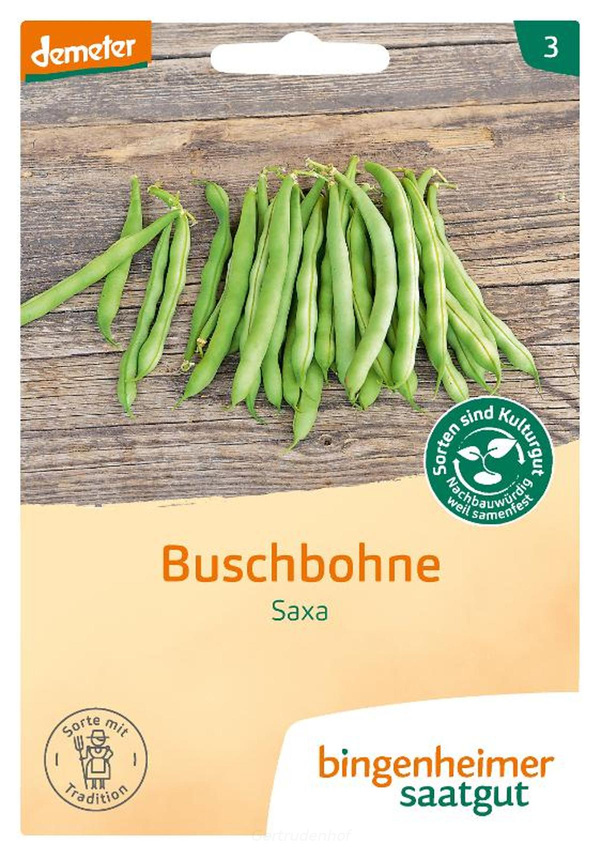 Produktfoto zu Buschbohnen grün (Saatgut)