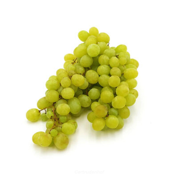 Produktfoto zu Trauben hell, kernarm