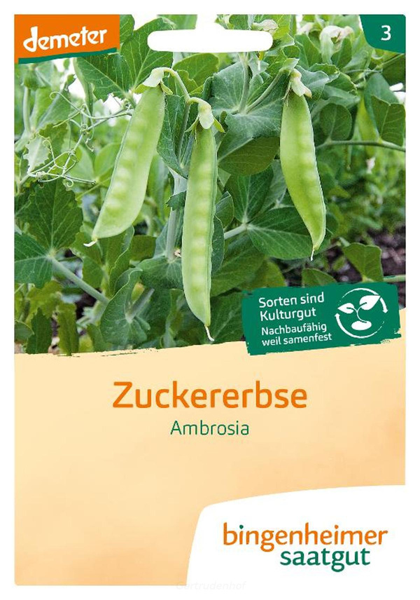 Produktfoto zu Zuckererbse (Saatgut)
