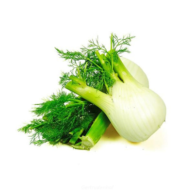 Produktfoto zu Fenchel, regional