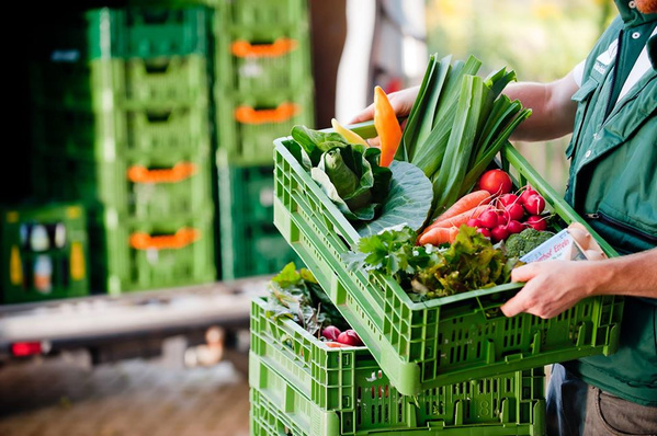 KI generiert: Eine Person hält eine Kiste mit frischem Gemüse wie Karotten und Lauch.
