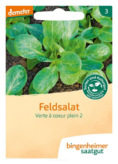 Produktfoto zu Feldsalat (Saatgut)