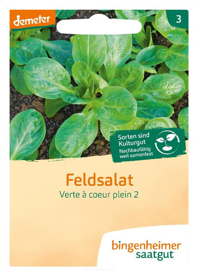 Produktfoto zu Feldsalat (Saatgut)
