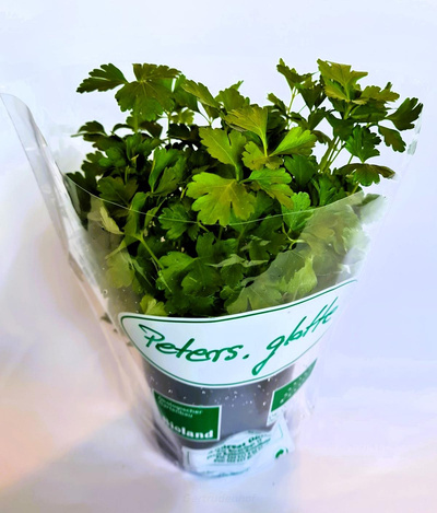 Produktfoto zu Topfkraut: Petersilie glatt