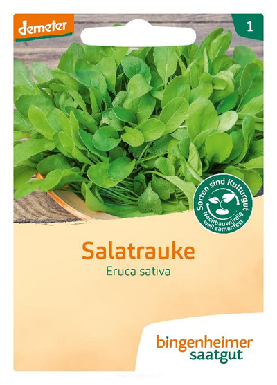 Produktfoto zu Salatrauke (Saatgut)
