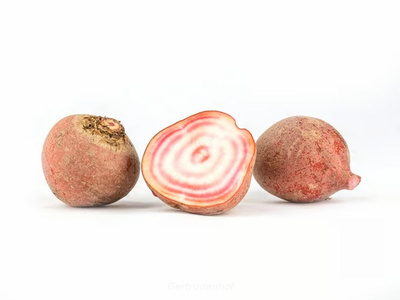 Produktfoto zu Ringelbete