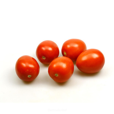 Produktfoto zu Tomaten, regional