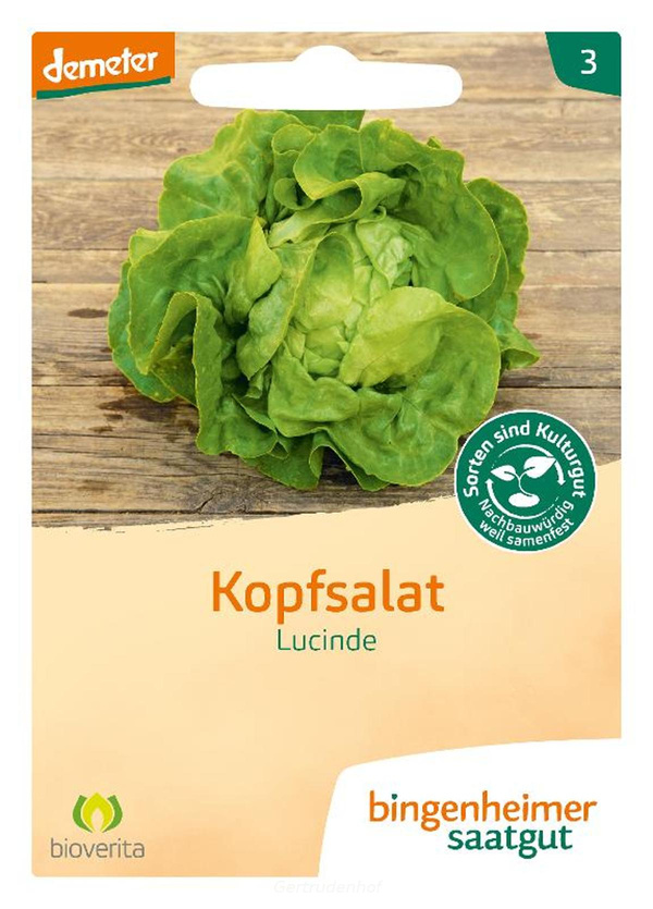 Produktfoto zu Kopfsalat (Saatgut)