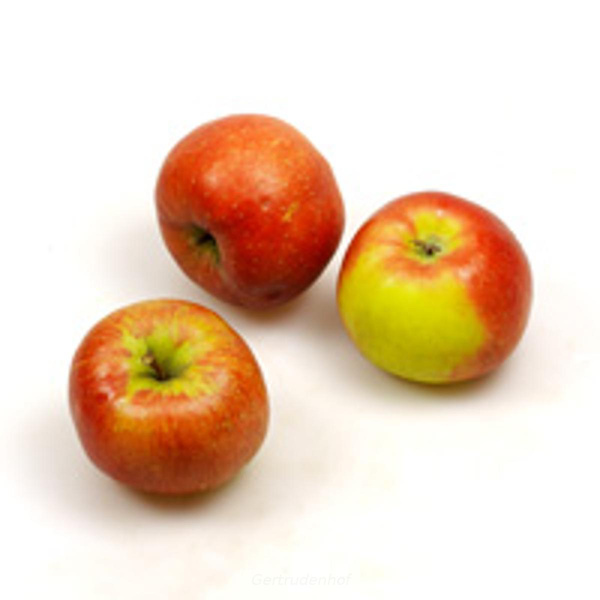Produktfoto zu Äpfel Topaz