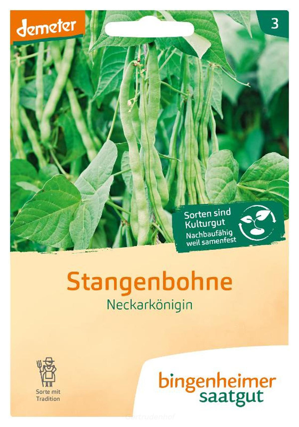 Produktfoto zu Stangenbohnen (Saatgut)