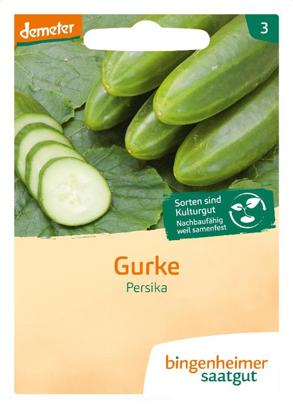 Produktfoto zu Freiland Gurken Saatgut