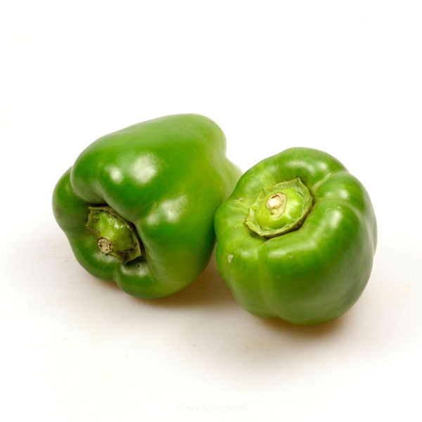 Produktfoto zu Paprika, grün, regional