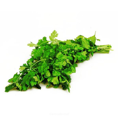 Produktfoto zu Koriander frisch, Bd.,regional