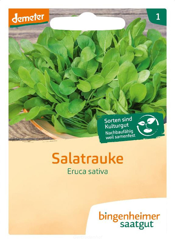 Produktfoto zu Salatrauke (Saatgut)