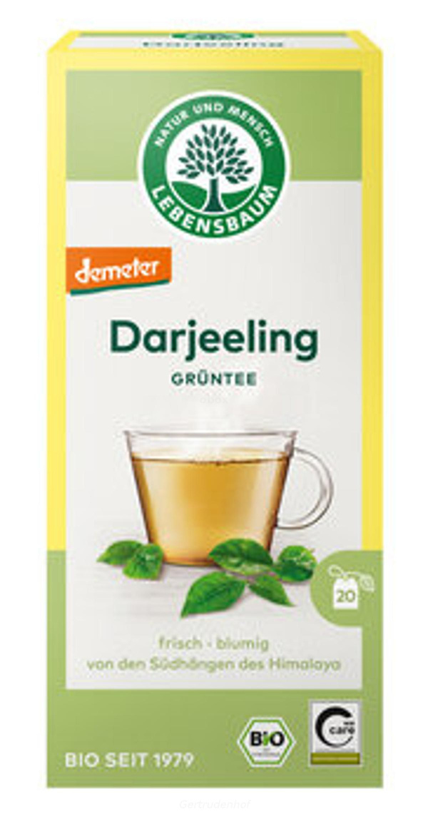 Produktfoto zu A-Grüntee Darjeeling TB (LEB)