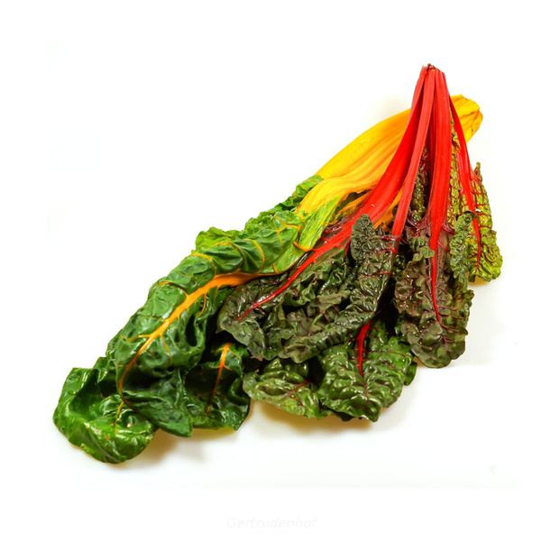 Produktfoto zu Mangold, bunt, regional