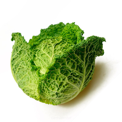 Produktfoto zu Wirsing (Stück)