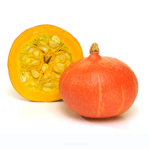 Produktfoto zu Hokkaido Kürbis, regional