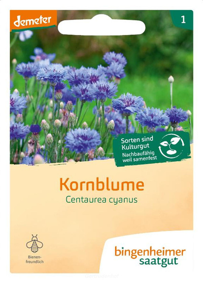 Produktfoto zu Kornblume blau (Saatgut)