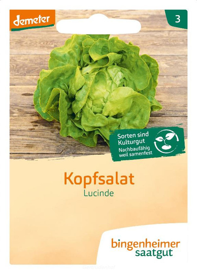 Produktfoto zu Kopfsalat (Saatgut)