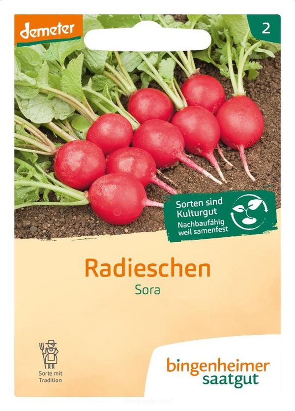 Produktfoto zu Radieschen (Saatgut)