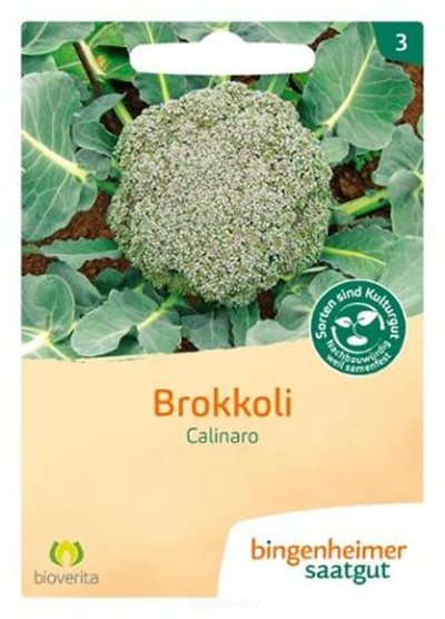 Produktfoto zu Brokkoli Calinaro (Saatgut)