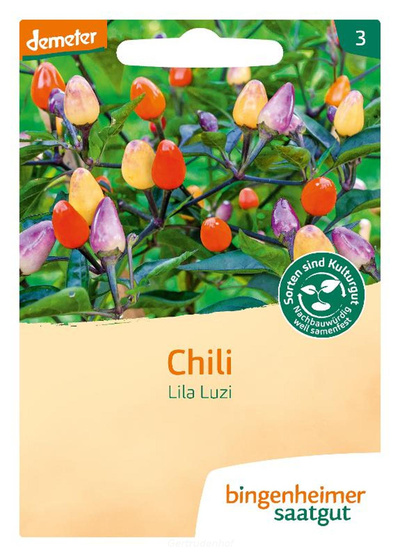 Produktfoto zu Chili Lila Luzi (Saatgut)