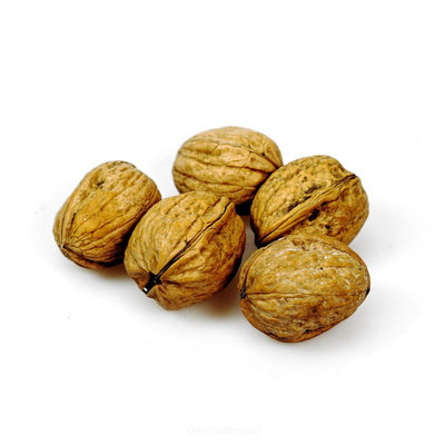 Produktfoto zu Walnüsse neue Ernte