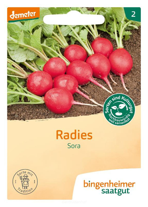 Produktfoto zu Radieschen (Saatgut)