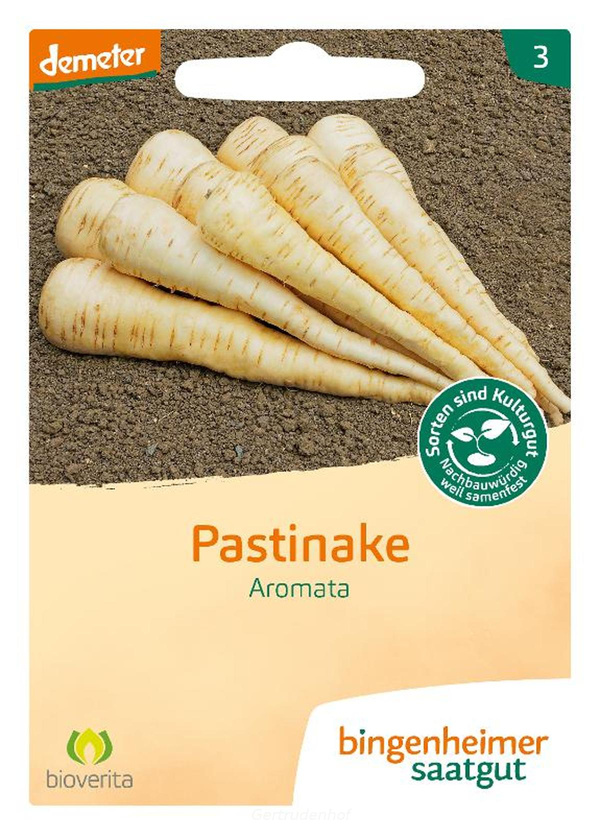 Produktfoto zu Pastinake (Saatgut)